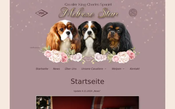 melrose-cavaliere.de