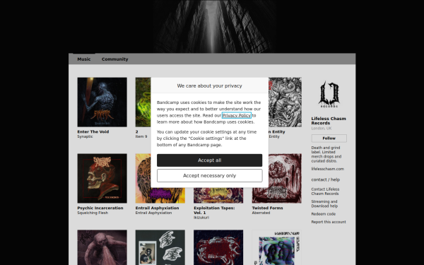 lifelesschasm.bandcamp.com