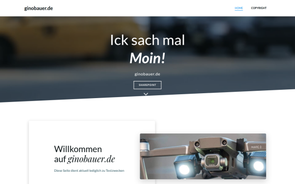 ginobauer.de