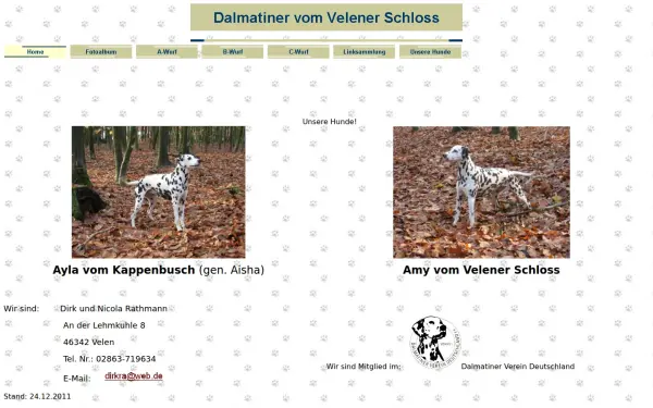 dalmatiner-vom-velener-schloss.de