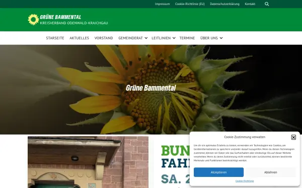 gruene-bammental.de