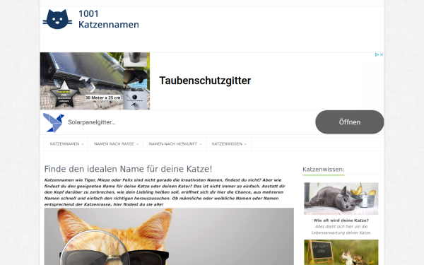 www.1001-katzennamen.de