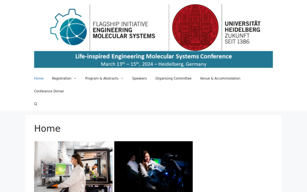 www.lems-heidelberg.de