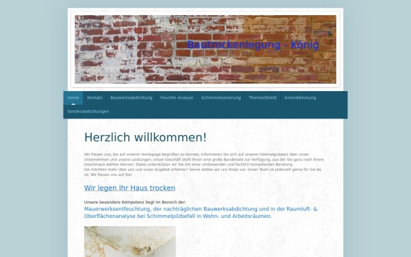 www.bautrockenlegung-koenig.de