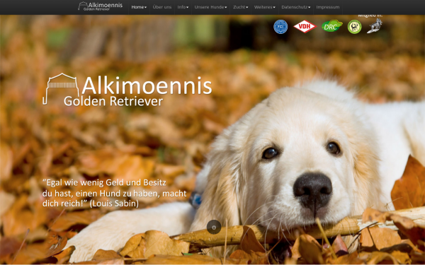 alkimoennis.de