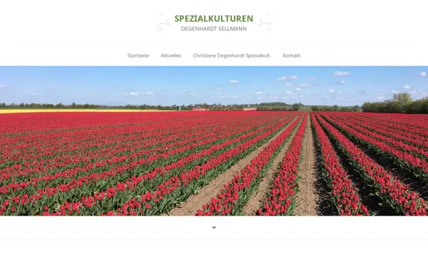www.degenhardt-sellmann.de