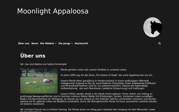 moonlight-appaloosa.de