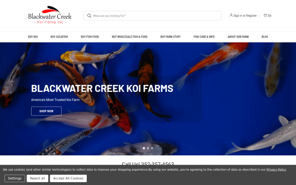 koisale.com