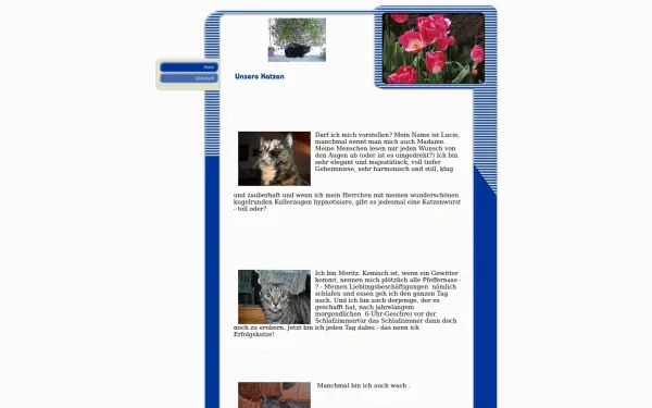 manfred-tradler.de