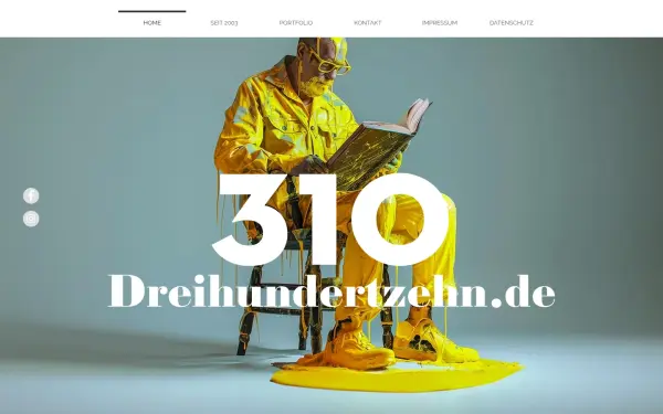 www.dreihundertzehn.de