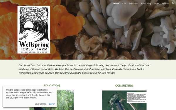 www.wellspringforestfarm.com