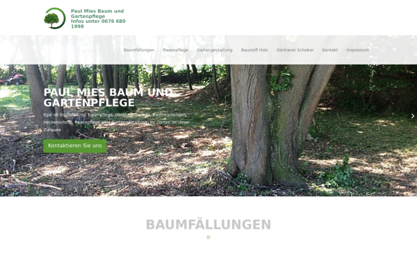 www.paulmies.at
