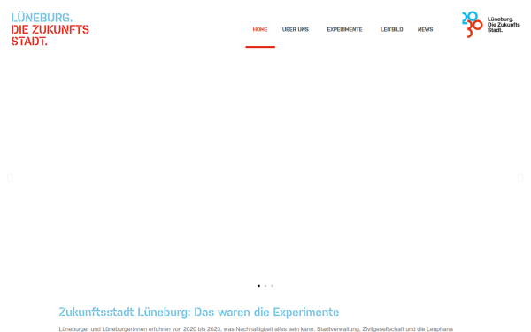 lueneburg2030.de
