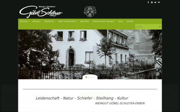 goebel-schleyer.com