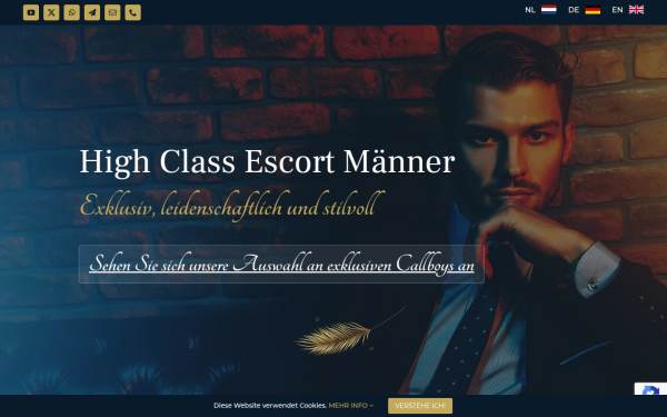www.gigolo-escort.de