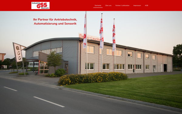 www.gss-industrie-electronic.de