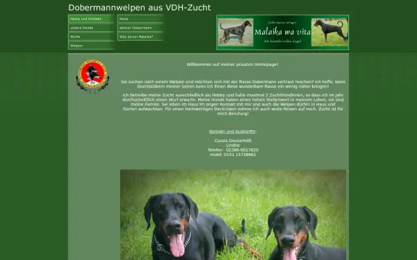 dobermannwelpen-zucht.de