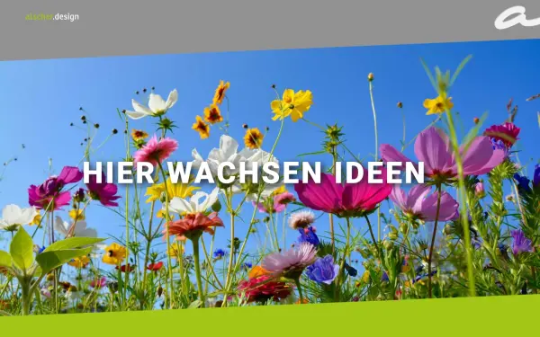 alscher.design