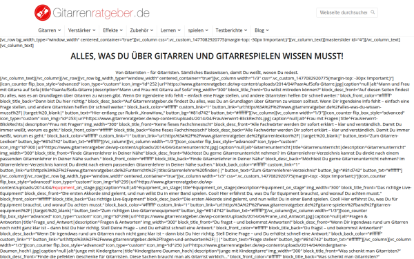 www.gitarrenratgeber.de
