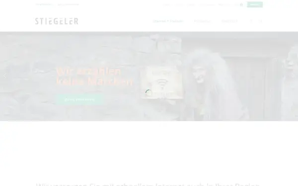 stiegeler.com