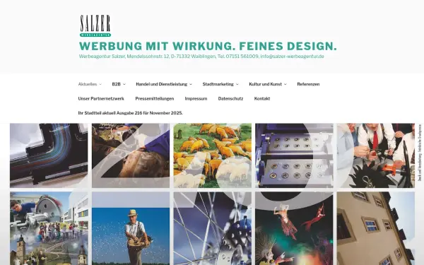 www.salzer-werbeagentur.de
