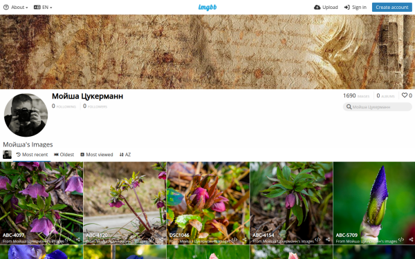 moisatukermann.imgbb.com