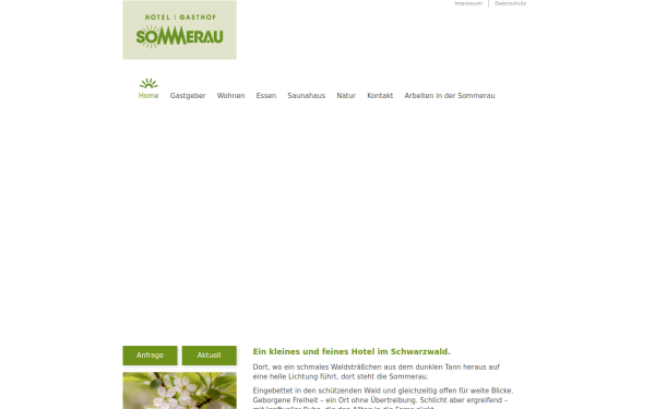 sommerau.de