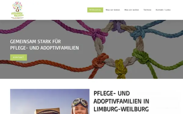 pflege-und-adoptivfamilien.de