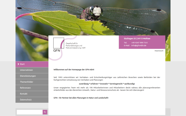 gfnmbh.de