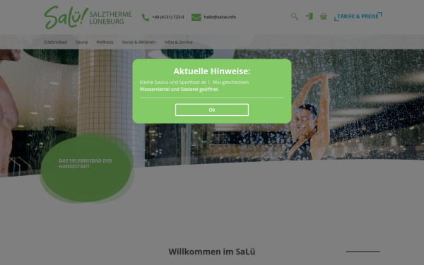 www.salue.info