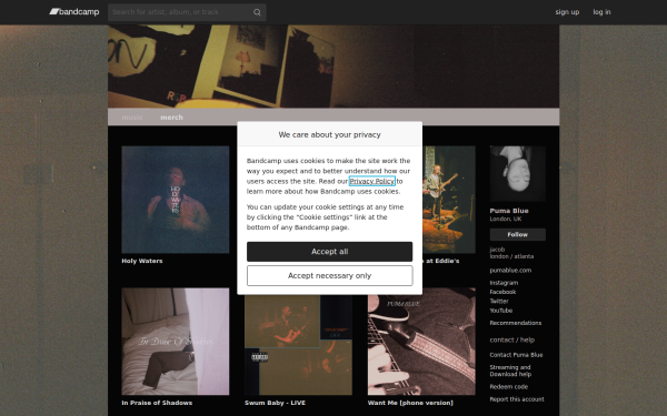 pumabluemusic.bandcamp.com