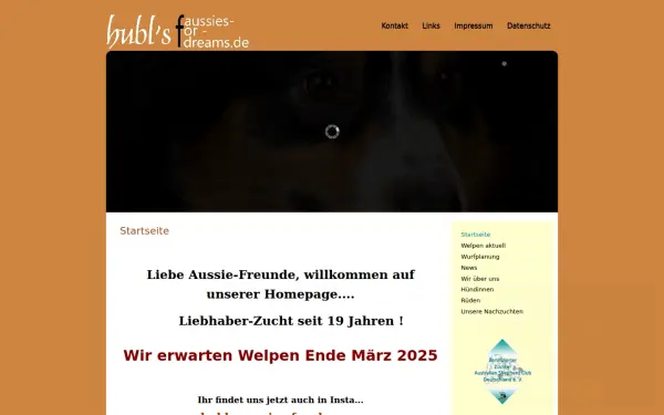 www.aussies-for-dreams.de