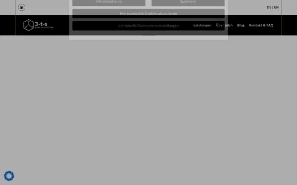 3-t-s.de