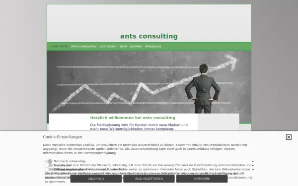antsconsulting.de