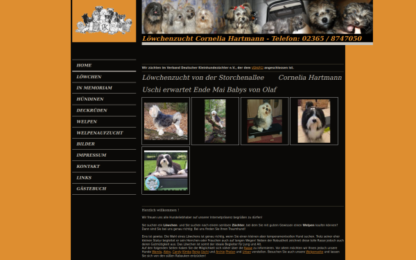 www.loewchenzucht.de