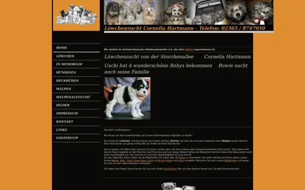 www.loewchenzucht.de