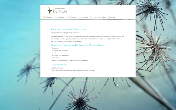 www.marketing-freiraum.de