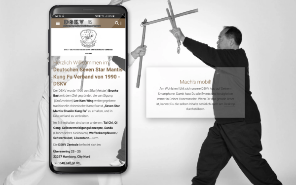 dskvkungfu.chayns.site
