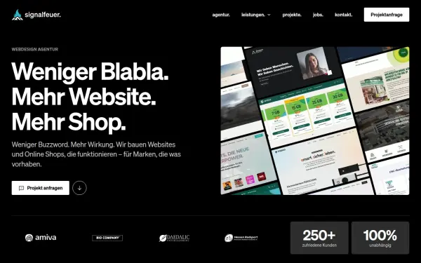 www.signalfeuer.de