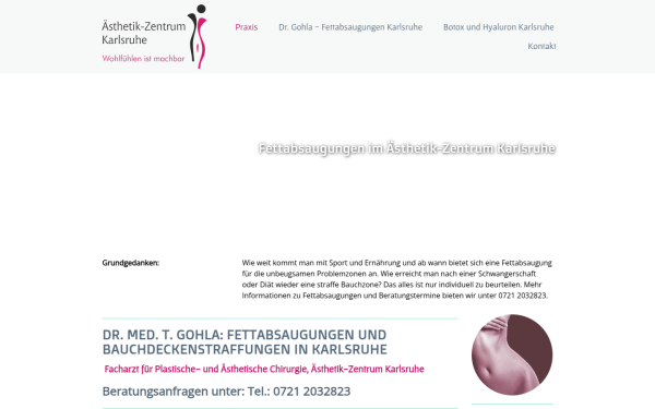 www.fettabsaugungen-karlsruhe.de