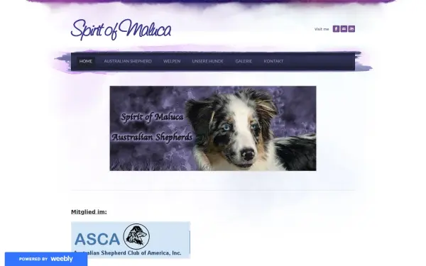 www.maluca-aussies.de