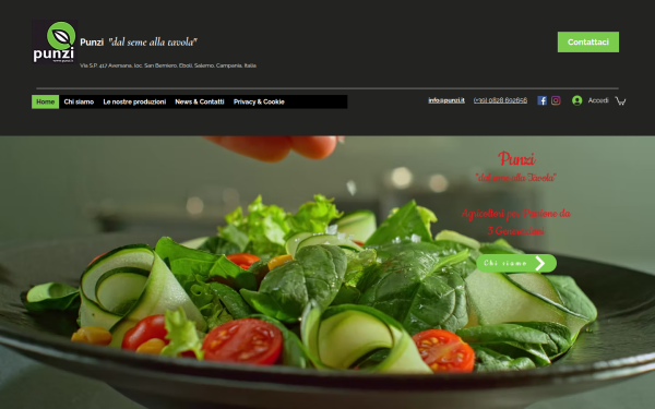 www.punzi.it