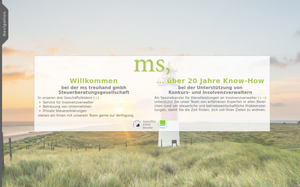 ms-treuhand.de