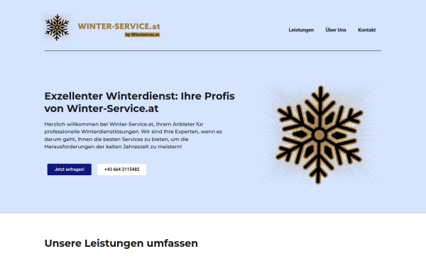 winter-service.at