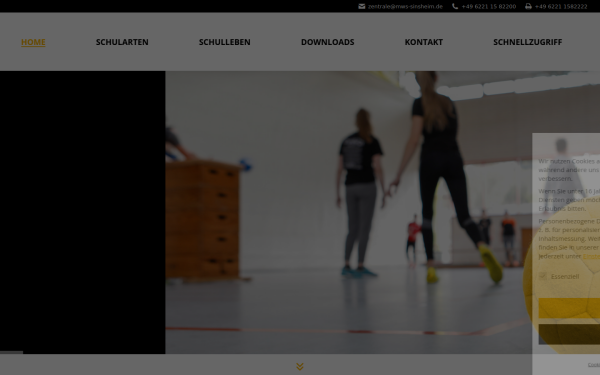 www.mws-sinsheim.de