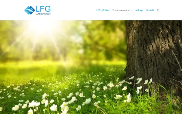 lfg-luftfilter.de