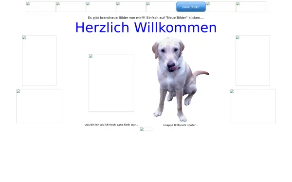 mein-baru.de