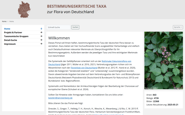 bestikri.senckenberg.de
