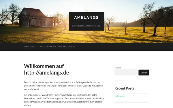 amelangs.de