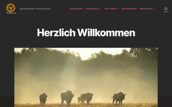 wordpres.thomas-hennig.de